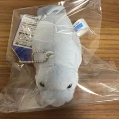 匿名配送　沖縄美ら海水族館 マナティー ぬいぐるみマスコット