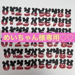 めいちゃん様専用•*¨*•.¸♬︎