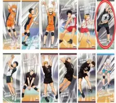 ハイキュー キャラポスコレクション2 木兎光太郎