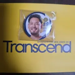 user_b6bccc89様 リクエスト 5点 まとめ商品