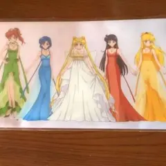 セーラームーン　チケットホルダー