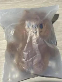 StrayKids スキズ　POPUP SKZOOSTANDING ハンクォッカ