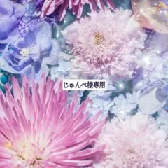 【じゅんぺ様専用】