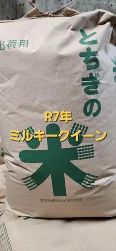 令和7年産「ミルキークイーン」玄米20kg 【送料無料】 - メルカリ
