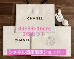 ☆ 銀座店限定 ☆大きなCHANELシャネルショッパー３点、カメリアとリボン付き