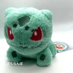 【新品】ポケモン もこもこぷち ぬいぐるみ フシギダネ かわいいのサムネイル