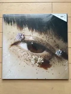 m65842362980_1.jpg?1770367226