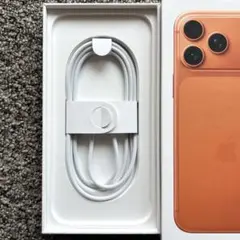 Apple純正 Type-C充電ケーブル1m iPhone17promax付属品