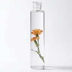 [정가 3000엔] 하나고엔 하바리움 카네이션 카림보