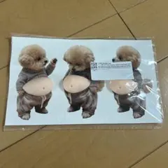 専用ページ