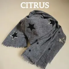 【希少】ドリスヴァンノッテン　シルク100％ ストール 総柄刺繍 フリンジ 希少】ドリスヴァンノッテン シルク100％ ストール 総柄刺繍 フリンジ