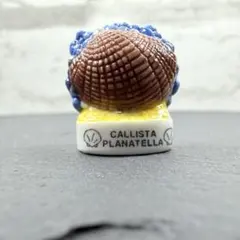 フェーヴ フランス フジイロハマグリ 海 フェーブ ミニチュア 陶器