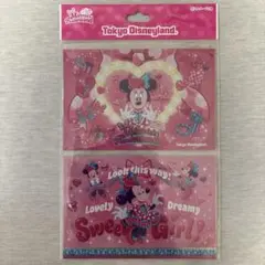 【本文必読】ディズニー　パルパルーザ　ポストカード２枚　ミニーのファンダーランド