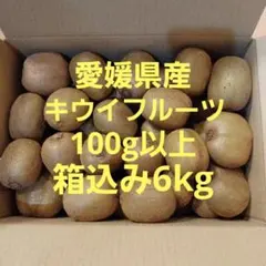 【1箱限定】愛媛県産　キウイフルーツ　100g以上　箱込み約6kg