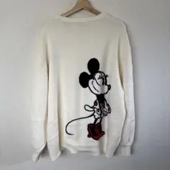 ZARA ディズニー　ミニーマウス　ニット　39サイズ