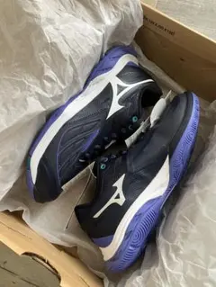Mizuno WAVE FANG 2 22.5cm バドミントンシューズのサムネイル