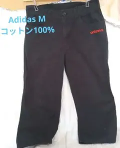 Item thumbnail for item 2e05749b-c124-49f0-adfd-18183273472a