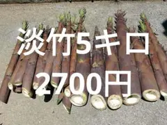千葉県産 真竹 タケノコ、6キロ、15本、写真3枚目現物 - メルカリ
