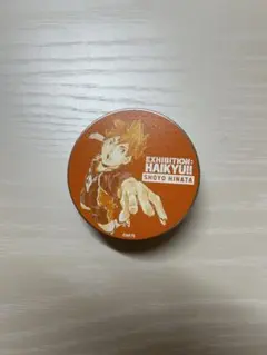 日向翔陽 ピンズ入り缶