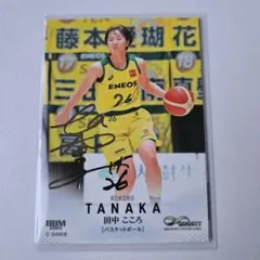 Item thumbnail for item 4f561cec-5f25-4af7-aa4d-80d2304d6f27