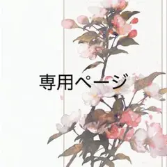 Rion様専用ページ