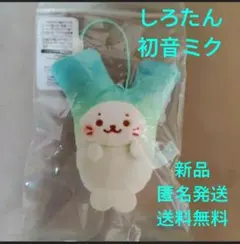 しろたん 初音ミク コラボ マスコット
