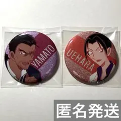 名探偵コナン トレーディングメタリック缶バッジM 大和敢助 上原由衣