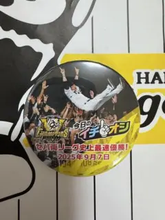 miiichan666様 リクエスト 2点 まとめ商品