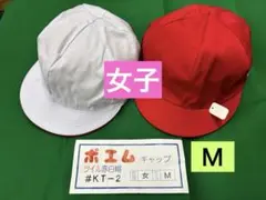 Item thumbnail for item ca6c5c11-fa02-4eee-b309-06df32350a25