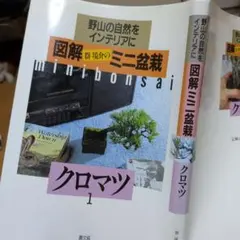 群境介　　図解ミニ盆栽 クロマツ　　農文協