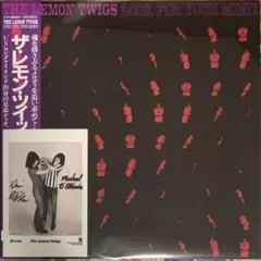 DROP NINETEENS LP セット シューゲイザー マイブラ - メルカリ