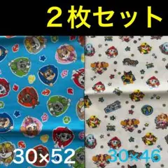 パウ・パトロール 生地 布 2枚セット