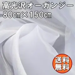 送料無料 高光沢 オーガンジー 生地 ホワイト 約80㎝×幅150cm 白 手芸