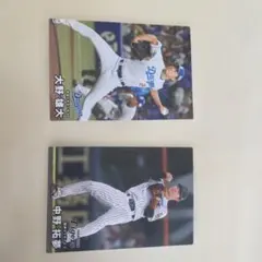 プロ野球 カルビー トレーディングカードセット