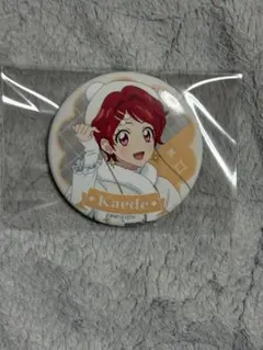 アイカツ！缶バッチ