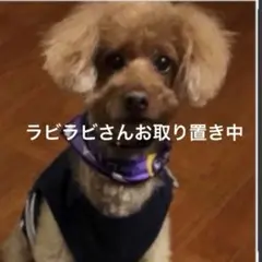 フェイクファー