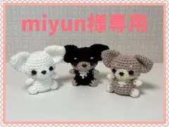 【miyun様専用】