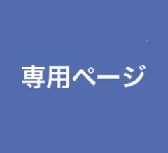 専用ページ。他の方のご購入はおやめ下さい。