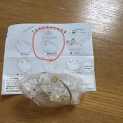 三角たれみみ