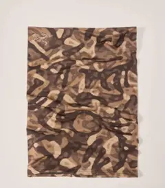 Item thumbnail for item 3f775699-2bee-45ca-bbf8-ab3a57420818