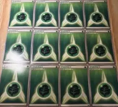 ポケモンカード　基本草エネルギー12枚セット