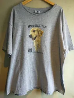 IRRESISTIBLE THE DOG ゴールデンレトリバー Tシャツ