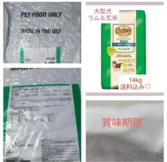 限定価格☆ナチュラル チョイス 中～大型犬用 チキン&玄米15kgお値下げ