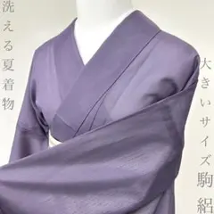 着物と帯 時流】SK26670◇正絹 夏着物 小紋◇前幅広め 美品 - メルカリ