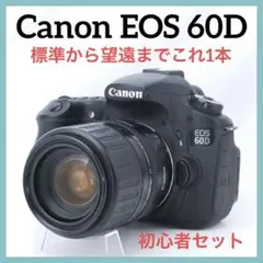 ショット約1万回♪Canon EOS 60D 標準〜望遠ズーム 初心者向け