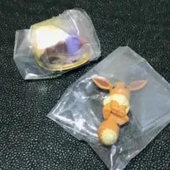 メタモン　イーブイ