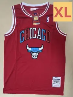 未使用】 デリック・ローズ NBA BULLS シカゴ・ブルズ ユニフォーム
