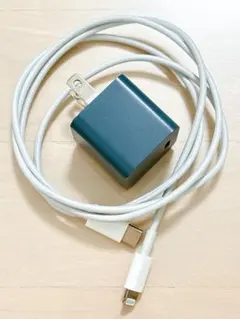 Apple純正USB-C to Lightning cable