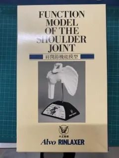 3F【希少】肩関節機能模型 FUNCTION MODEL 人体模型 昭和レトロ - メルカリ