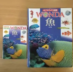 しとろん様 リクエスト 3点 まとめ商品